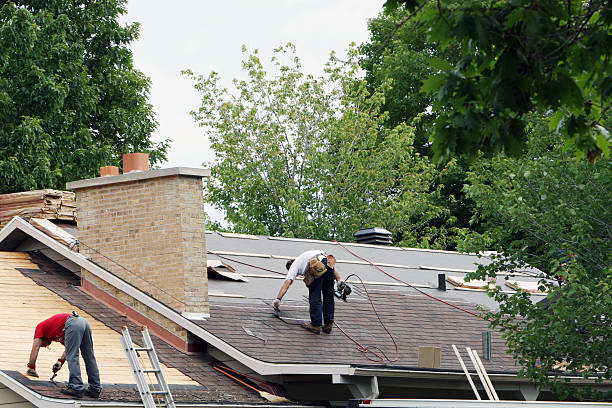 Best Roof Gutter Cleaning  in Frederic, WI